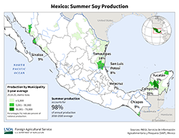 images\MX\seasonalmap\Mexico_Summer_Soybean_preview.png